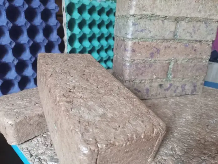 Quemó dos licuadoras en la cocina de su casa y terminó inventando un ladrillo con maples de huevo que es furor